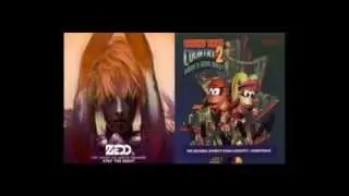 Brambles In The Forest Night - Zedd ft. Hayley Williams vs. Nintendo (Mashup)