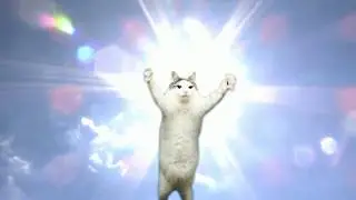 praise