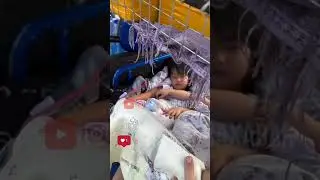 Shunday onalarimizga tizimlar boʼlsin #best #top #love #rek #music #animals #song #xit