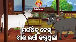 Mainshi Ku Dekhi Gai Irsa Karuthila - ମଇଁଷି କୁ ଦେଖି ଗାଈ ଈର୍ଷା କରୁଥିଲା | Odia Moral Story | Huke Hu