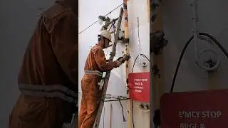 buffing safely without facemask #safetyfirst #sealife #ladder