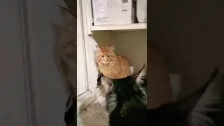 Это Моя Дача