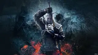 The Witcher 3 #1