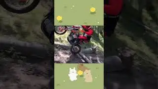 ЗДРАВСТВУЙ МАМ...