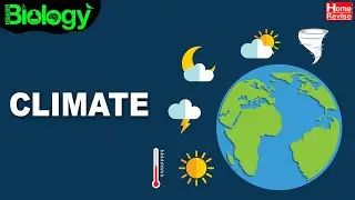 Climate | Climate & Weather | Part 1 | Home Revise