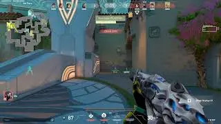 Lurking Dueling Viper??
