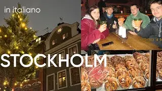 Стокгольм с одноклассниками | vlog на итальянском(с субтитрами)