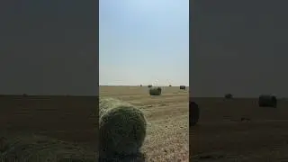 Поля РОСТОВСКОЙ ОБЛАСТИ, РУЛОНЫ СЕНА, скоро на всех аватарках СТРАНЫ 😊#путешествия #релакс #данхель