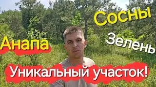 Уникальный УЧАСТОК, вокруг СОСНЫ. 3 фасада! п. Супсех, г. Анапа