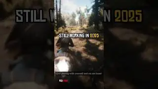 Unlimited Money in 2025?! Rockstar Forgot to Patch This 😱| Red Dead Redemption 2