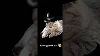МОЯ ПЕРВАЯ АНИМАЦИЯ!!!#shorts