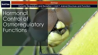 Hormonal Control of Osmoregulatory Functions | Osmotic Regulation and Excretion