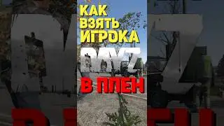 Dayz ловушка 2024 | Дейз life hack #dayz #дейз #dayztips #shorts