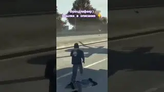 friendlyfaer 