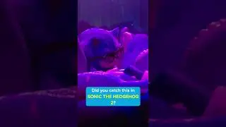 Did you catch this in SONIC THE HEDGEHOG 2