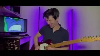 Wild cat’s guitar