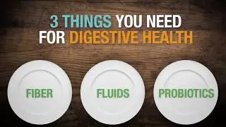 Components of Healthy Digestion | Herbalife Nutrition