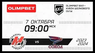 Металлург (Новокузнецк) - Сокол (Красноярск)