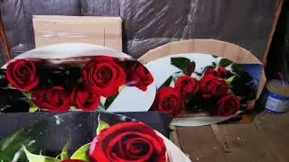 БЦ стол. Стеклянный овальный стол 