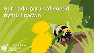 [Cymraeg/Welsh] Sut i ddarparu safleoedd nythu i gacwn | How to provide bumblebee nest sites