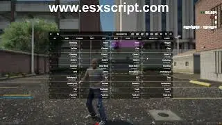 Esx Animation Menu (Custom Emotes, Dances, Sync Animations, ERP Animations and many more)