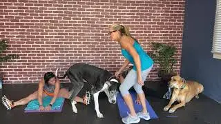MŌV Mobility and Stretching Class
