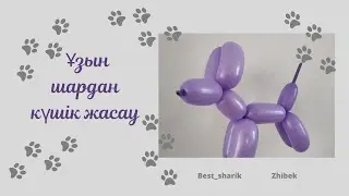 Ұзын шардан сүйкімді күшік жасау/ Как сделать собачку из длинного шарика