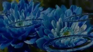 гр."Рождество" - " Твои глаза "