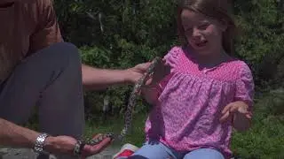 Seeing milk snakes on hike!!!!!