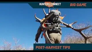 You've Harvested Your First Big Game Animal! What's Next?