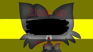 •C l o s e   u p• m e m e•F l i p a c l i p•(super cat bros(tales 2)