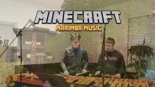 Minecraft/C418 【Subwoofer Lullaby】Marimba Duo