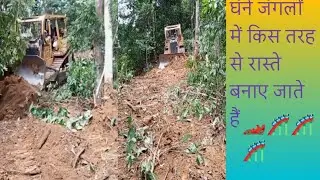 गाने जंगलों में किस तरह से रास्ते बनाते हैं #short #animal #forest 🚴🚴🚴🚴🌹🌹