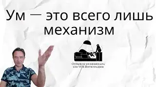Ум - это механизм иллюзии | Отрывок из вебинара VOX Интеграция