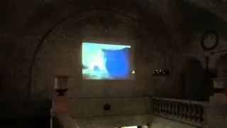 MVI 0307