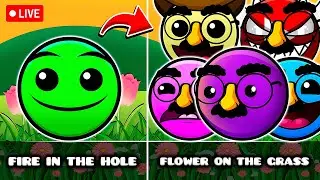 ALL FIRE IN THE HOLE But Everyone Is FLOWER ON THE GRASS