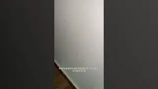 Mold behind the wardrobe? 