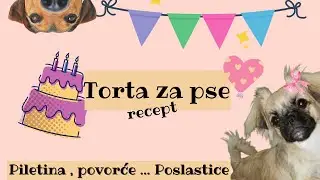 Torta za pse / Ukusan i zdrav recept