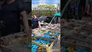 19 апреля 2024 г.