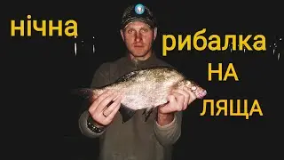 Лящ на фідер в ночі.Попався не поганий трофей...