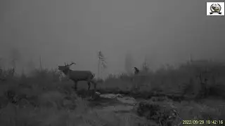 Fotopasca 14 2022.