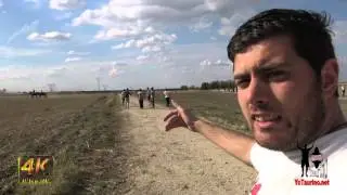 Dos toros se escapan en el campero de Olmedo