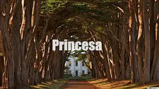 Princesa - Río Roma ft. CNCO / Letra