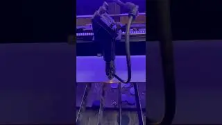 Вы тоже слышите мелодию? Не простой, а музыкальный лазер 🎵