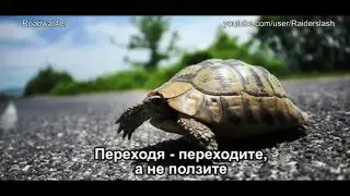 Как выжить пешеходам и не "сесть" водителям