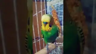 Когда ты долбоёб!