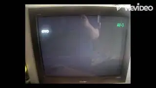 Заставка UP/Dreamworks 25 лет/Dreamworks (2020)