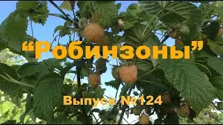 Лето. Робинзоны 124