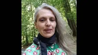 Endlich wieder Sonne VIII * Weg auf der Straße nach Hause🧚‍♀️💞🐺🌳🌌