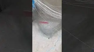 Сети на камбалу.Ячея 180 мм.